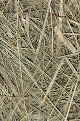 straw background