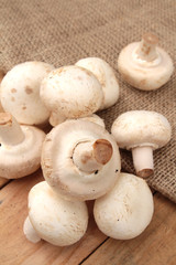 champignons de paris