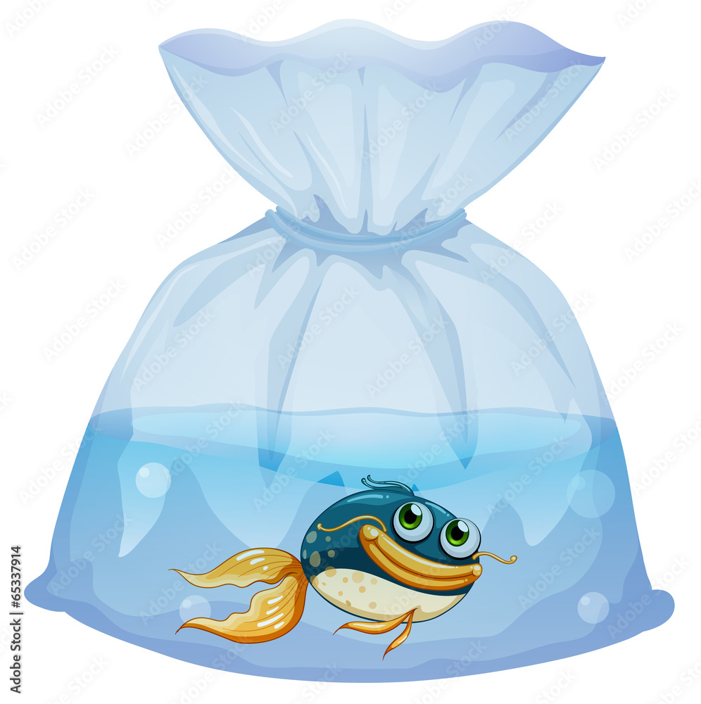 Wall mural a fish inside a plastic pouch