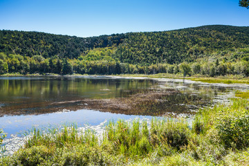 Green Hills Beyond Beaver Pond