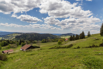paysage des Vosges