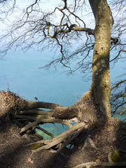 Blick auf Kreidefelsen 