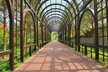 Beautiful pergola in the landscape park Mezhyhirya near Kiev, Ukraine