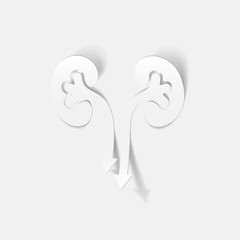 realistic design element: kidneys, medical