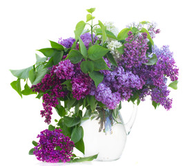 Bunch of Lilac in pot