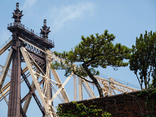 New York City Bridges-11