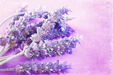 Bunch of a lavender flowers on a purple vintage background © ulchik74