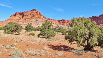 Capitol Reef NP, Utah