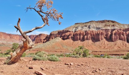 Capitol Reef NP, Utah