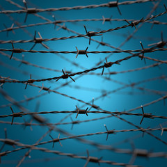 Fototapeta na wymiar Barbed Wire