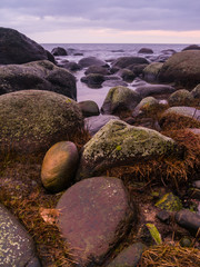 Morgendämmerung an der Küste Rügens