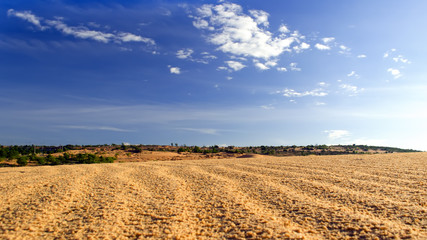 Fototapeta na wymiar Red Sand Dunes near Muine.