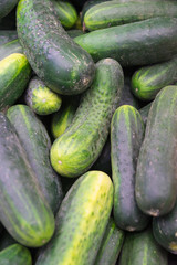 Mucchio di cetrioli