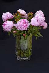 Pfingstrosen auf Schwarz 2