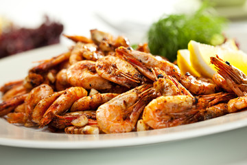 Shrimps