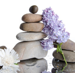 Composition of stacked pebbles with lilac