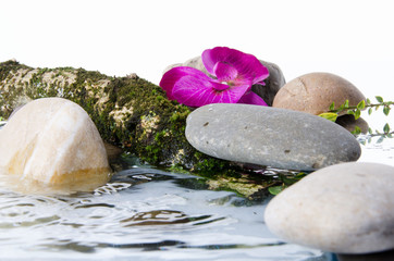Composition of stones, a flower and a tree branch in water