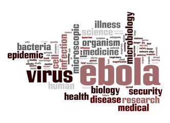 Ebola virus word cloud