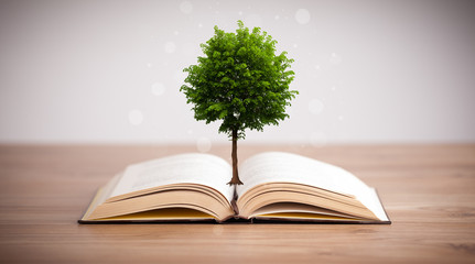 Tree growing from an open book