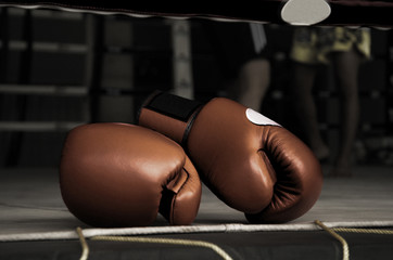 Boxing Glove Vintage