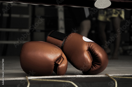 Vintage Boxing Glove 83