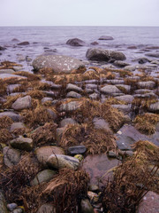 Morgendämmerung an der Küste Rügens