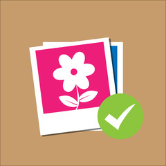 Flower in Polaroid paper frame