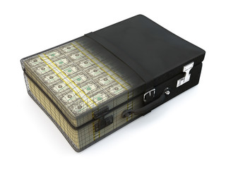 Briefcase full of money