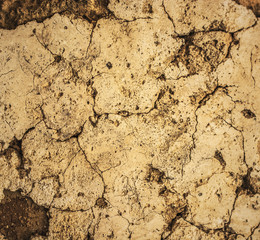 Cracked Wall
