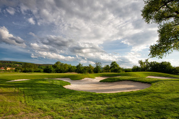 Fototapeta premium Golf hole under a tree