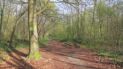 Father and Son running in the forest 