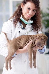 veterinarian hugging  Shar Pei dog