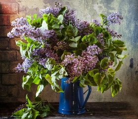 lilacs
