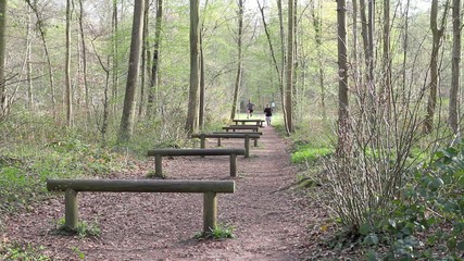 Father and Son running in the forest 