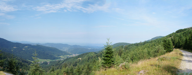 Fototapeta na wymiar Fernwanderweg Westweg im Schwarzwald