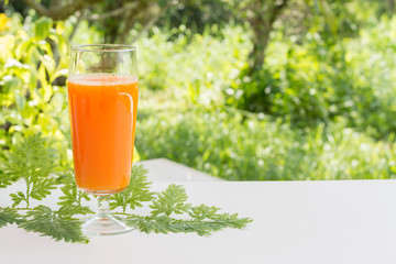 Fototapeta premium Orange juice
