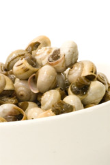 Bowl of snails in garlic, typical plate of Spain and France