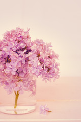 lilac