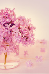 lilac