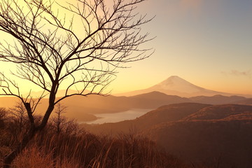 mountain fuji and ashi lake at moto hakone