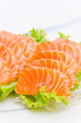 Salmon sashimi