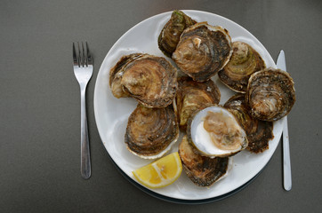 oyster plate
