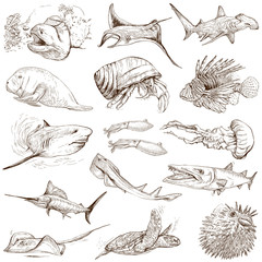 Underwater 2 - hand drawings