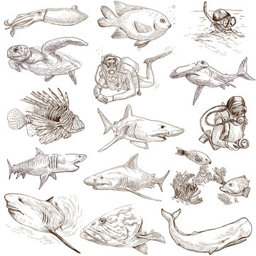 Underwater 1 - hand drawings