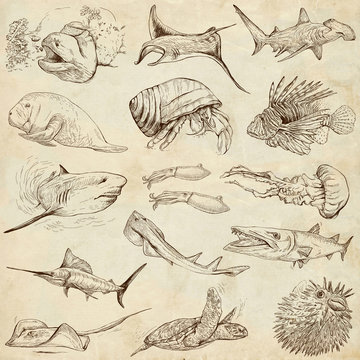 Underwater 2 - hand drawings on old paper