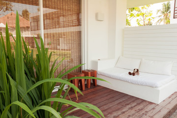 sofa near swimming pool