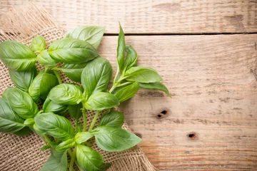 Crédence de cuisine en verre imprimé Herbes Basilic.