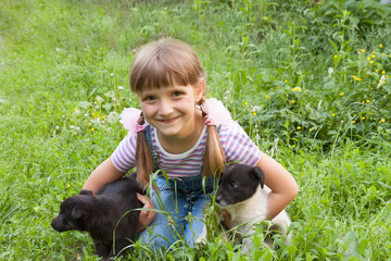  little girl playing with two small  puppies