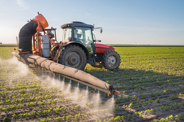 Fototapeta premium tractor spraying pesticides