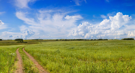 road in a field with green grass